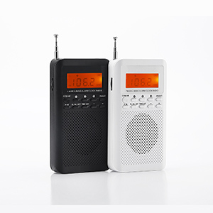 Portable Radio with Digtal Display Black &White